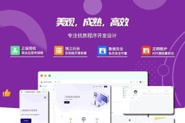 2024最新版守约者二级域名分发系统