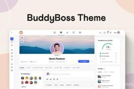 WordPress 定制主题BuddyBoss v2.4.30：个性化程度达到新高